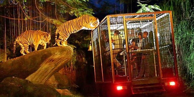BaliNightSafari