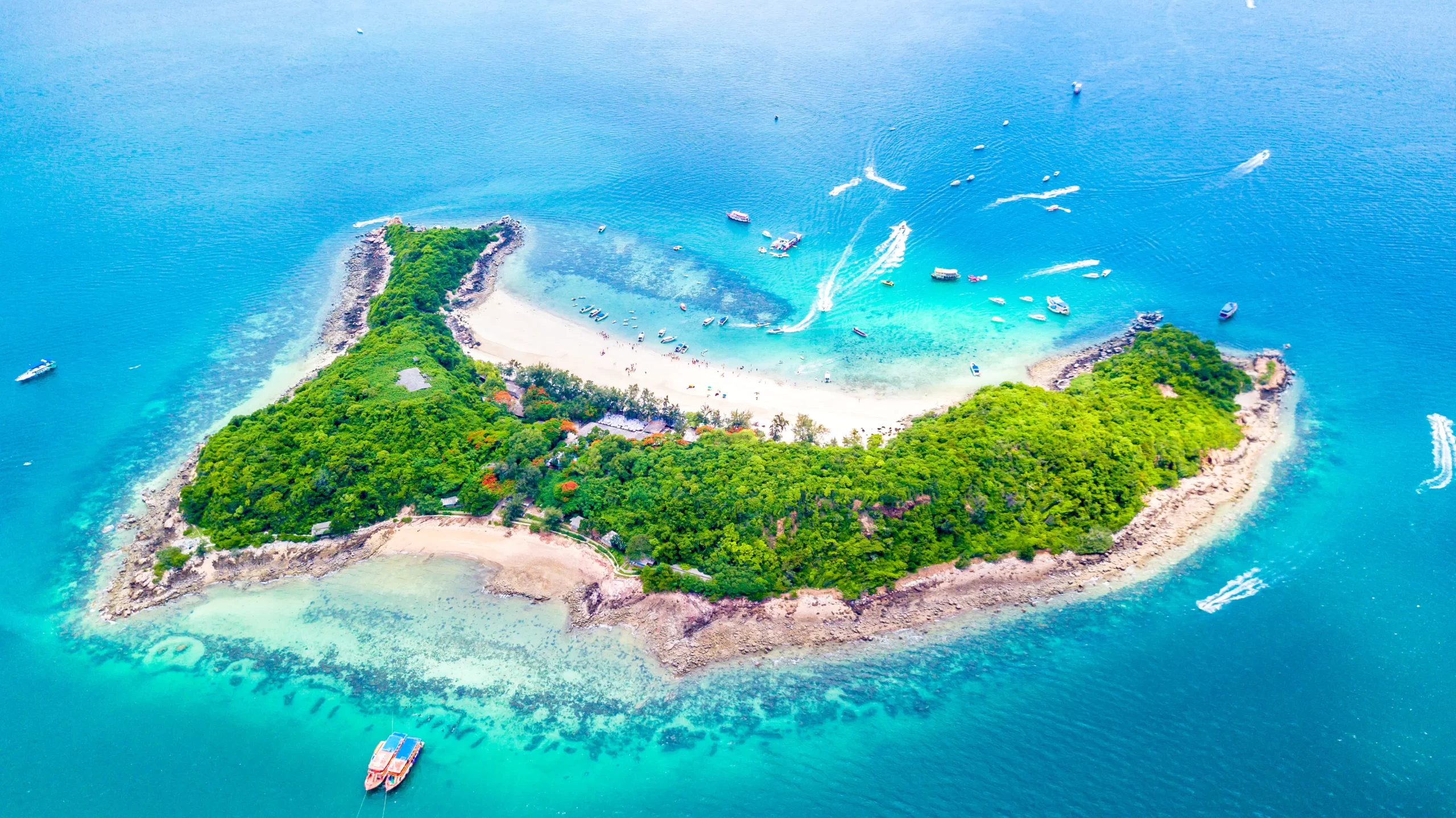 CoralIsland CoralIsland