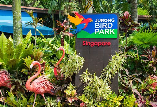 jurong-bird-park jurong-bird-park