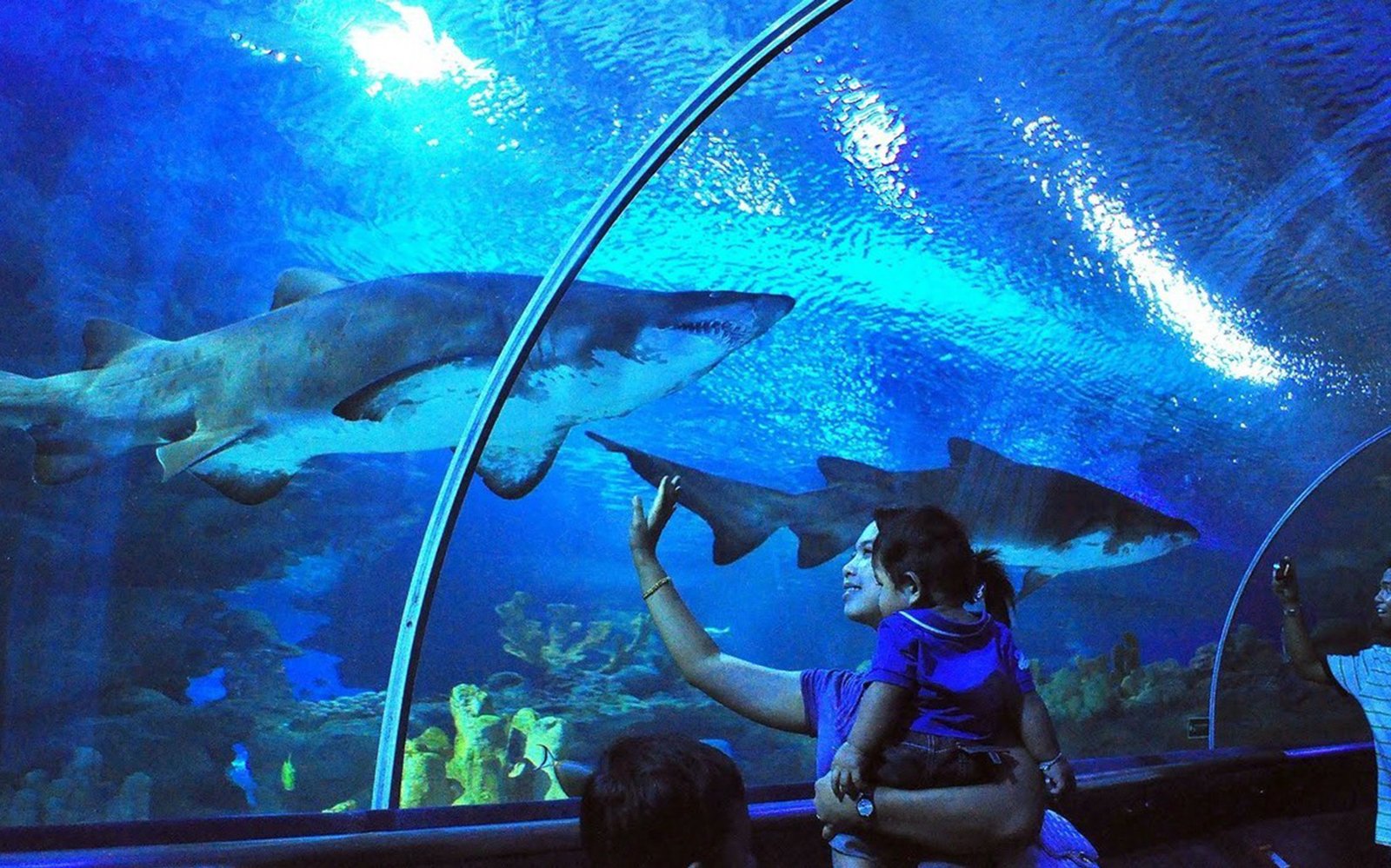 kuala-lumpur-aquaria-klcc kuala-lumpur-aquaria-klcc